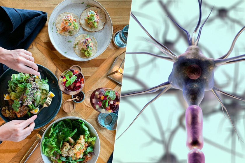 El hambre y la sed empiezan en la cabeza y hemos encontrado unas neuronas responsables de ello