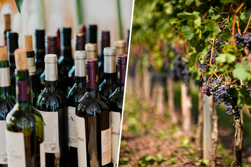 El mercado internacional del vino ya estaba roto, pero una sola idea lo ha puesto contra las cuerdas: aranceles al 200%