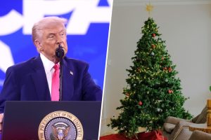 La guerra comercial entre Estados Unidos y China está teniendo una víctima inesperada: los árboles de Navidad