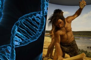 Acabamos de descubrir que el 20% de nuestro ADN procede de una desconocida población homínida: la Población B