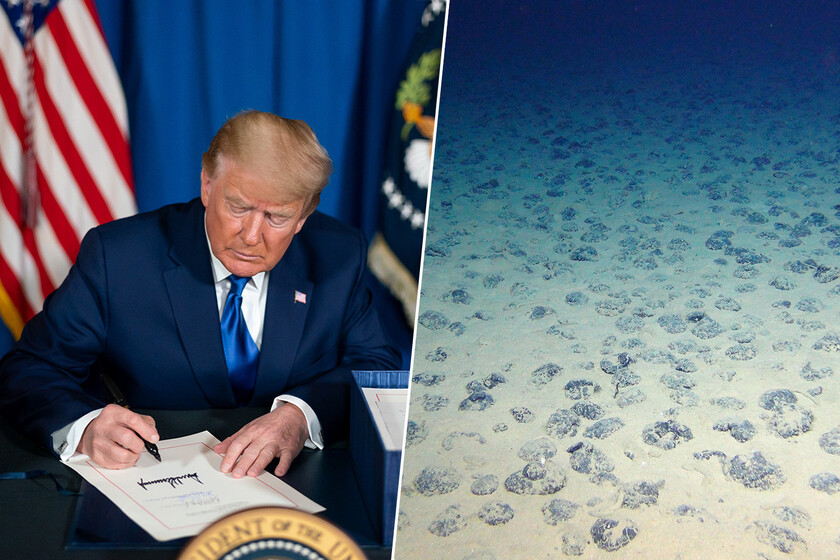 EEUU se imaginaba que China vetaría su exportación de tierras raras. Tiene un plan B: el fondo del Pacífico