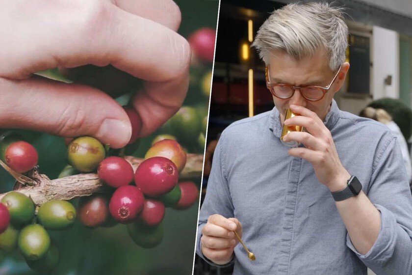 La taza de café más cara del mundo cuesta 300 euros y se vende en el único país dispuesto a pagar algo así: Japón