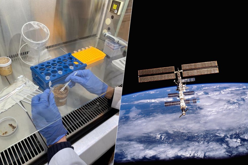 Llevamos años preguntándonos qué comeremos en el espacio. Ahora ya sabemos que como mínimo miso