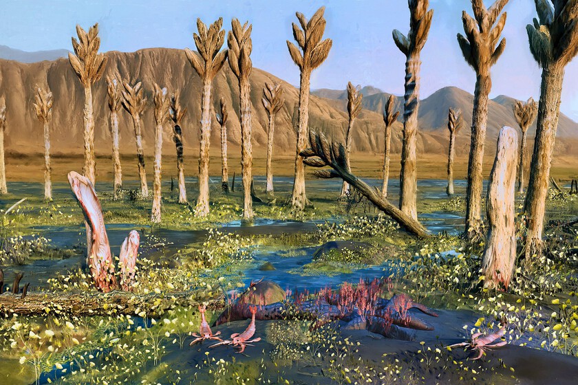 Creíamos haber resuelto el misterio de los "árboles" gigantes del paleozoico. No podríamos estar más equivocados