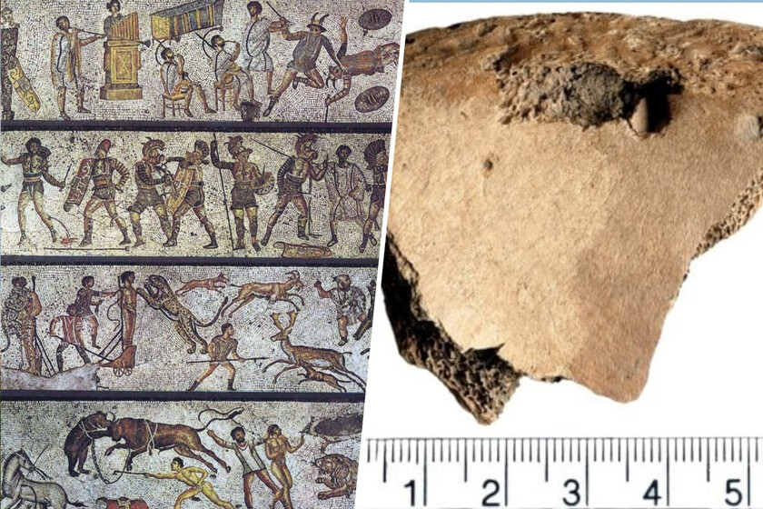 Durante años los historiadores se preguntaron si las peleas entre gladiadores y leones eran reales. Ya tienen la prueba