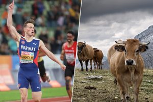 el dopaje en la carne