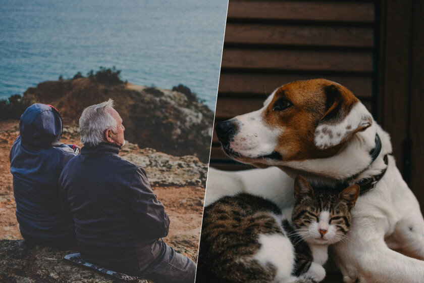 La soledad se es ya una cuestión de salud pública. Cada vez tenemos más pruebas de que los animales nos ayudan a aplacarla