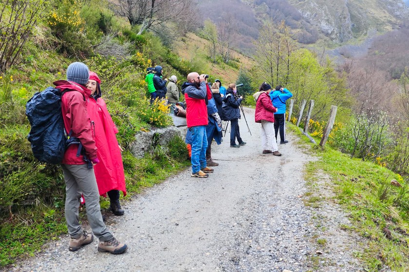 El norte de España lleva años quejándose del turismo masivo. Asturias ha descubierto las amargas consecuencias de perderlo