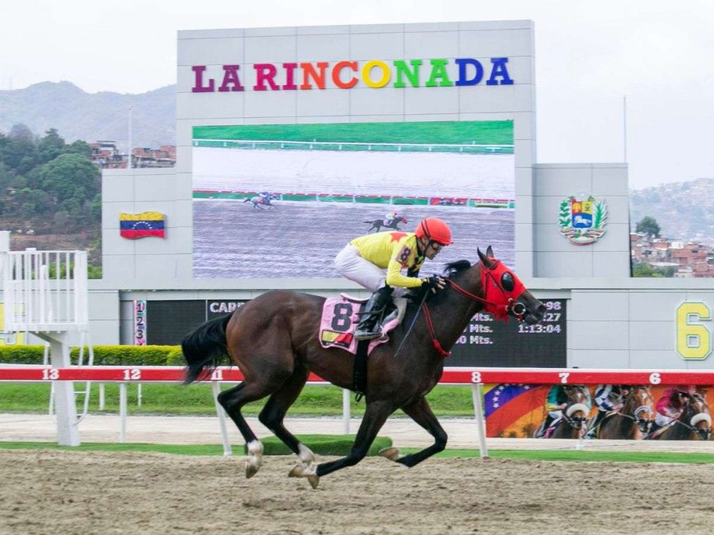 Noah tremendo prospecto - Líder en deportes