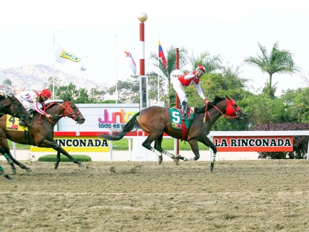 Gaucho Tuco Salamanca en el Federico Carmona