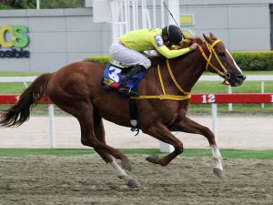 My Titico Mate duplicó en la II Copa Mundo Hipico