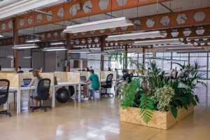 Una empresa noruega está construyendo un imperio comprando startups españolas de software para pymes. Con paciencia y sin fusiones