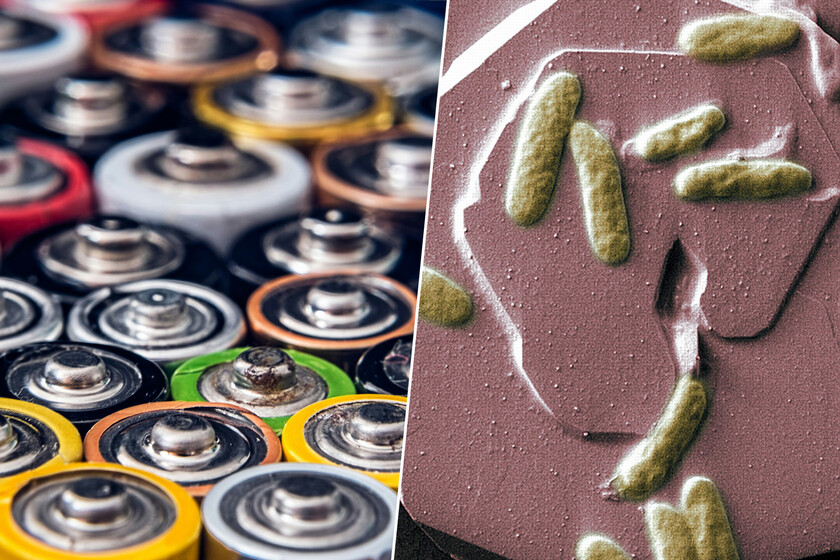 Mientras medio mundo busca más litio, unos investigadores de China lo han eliminado de la ecuación: baterías con bacterias