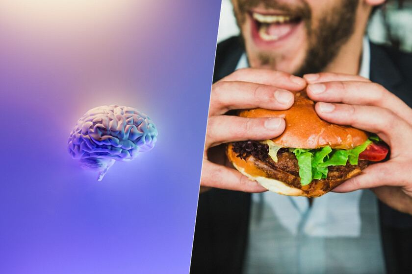 Llevábamos años intentando saber para qué servían los neuroestrógenos. Acabamos de descubrir una pista: regulan el apetito