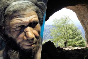 llevaba ya 30.000 años ahí