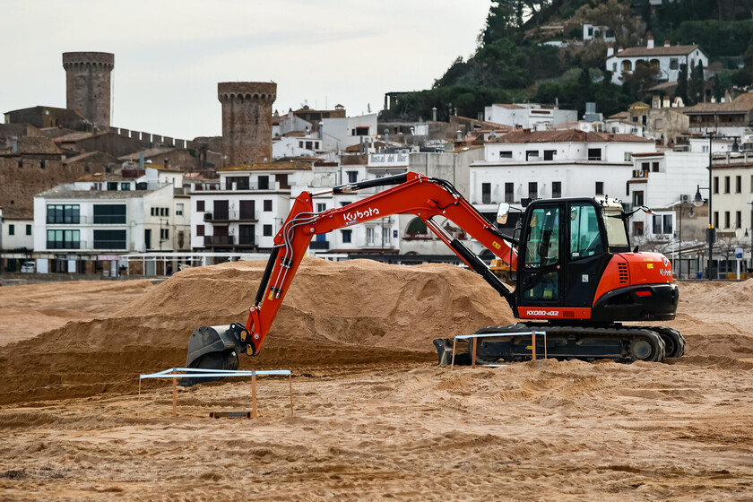 las algas asiáticas se están convirtiendo en un enorme problema