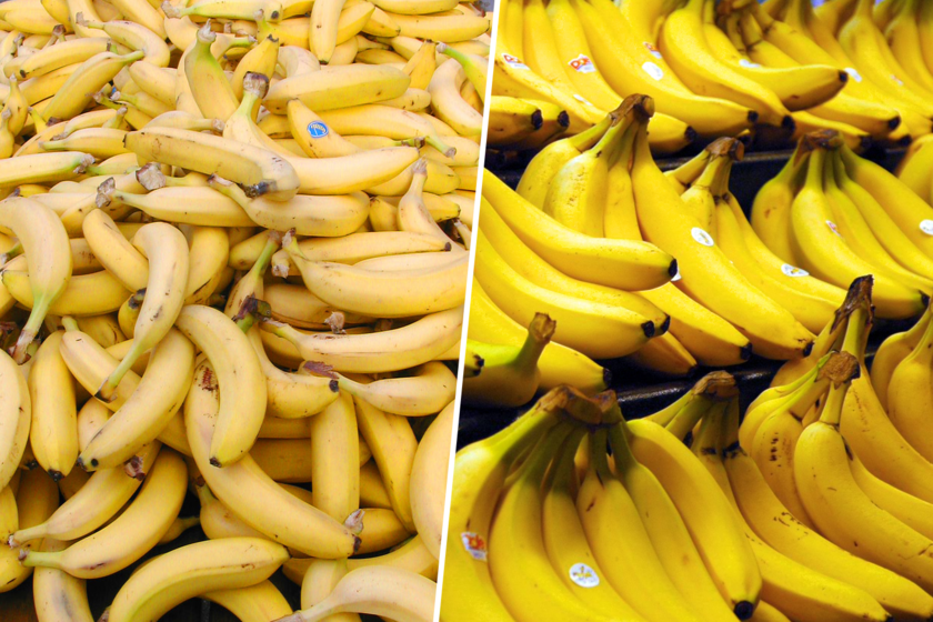 Nos cuesta mucho diferenciar un plátano de una banana. Y una red ilegal se estaba aprovechando de ello en España