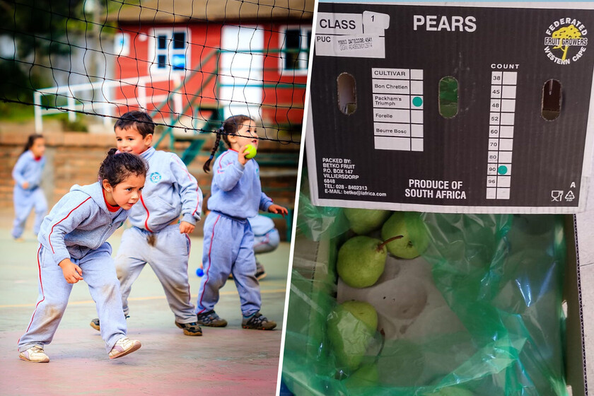 Aragón quería que sus niños comiesen más fruta en el colegio. Así que fue a buscarla a 10.000 kilómetros de distancia
