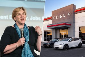 Elon Musk pidió calma y aguantar las acciones de Tesla. Su presidenta hizo lo contrario y ha ganado 230 millones de dólares