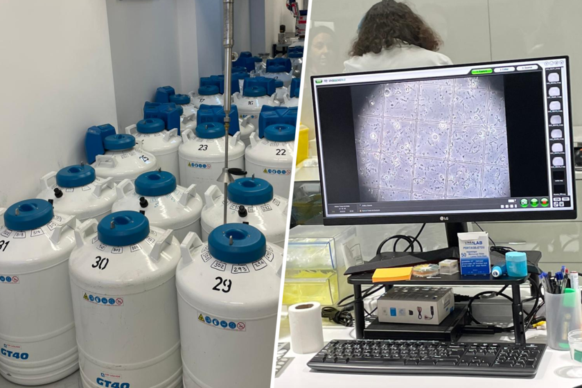 Hay un sitio en Granada con más de 50.000 muestras de semen. Hemos estado allí