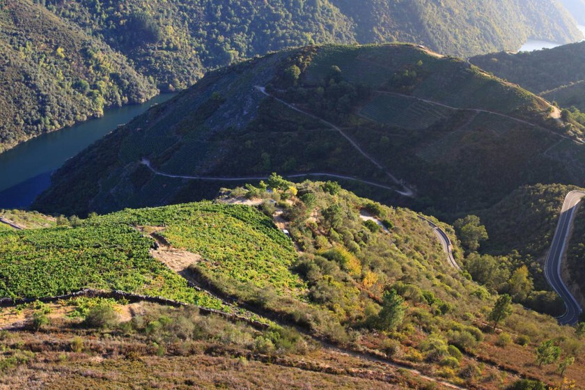 La Ribeira Sacra se está convirtiendo en una trampa letal para los autobuses turísticos: hay curvas demasiado cerradas