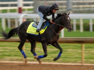 Rodríguez al Preakness 2025 - Líder en deportes