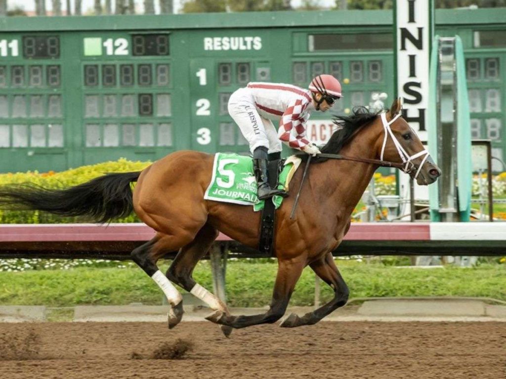 La revancha del Derby en el Belmont