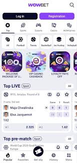 Ашық ойын шарттары Түсінік және маңыздылығы Ашық ойын шарттары Түсінік және маңыздылығы