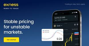 Understanding the Exness MT4 Web Terminal for Online Trading